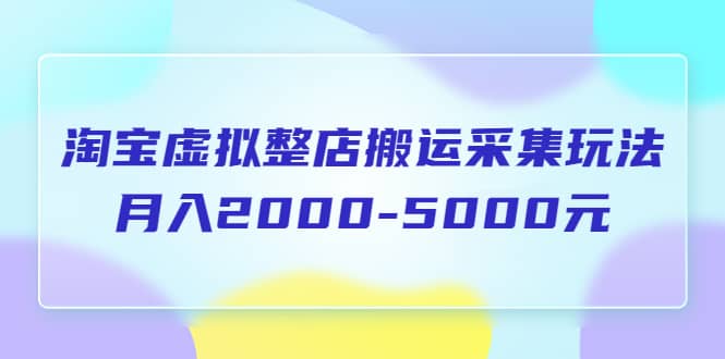 淘宝虚拟整店搬运采集玩法分享课：月入2000-5000元（5节课）-久创网