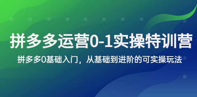 拼多多-运营0-1实操训练营，拼多多0基础入门，从基础到进阶的可实操玩法-久创网