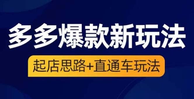 2023拼多多爆款·新玩法：起店思路 直通车玩法（3节精华课）-久创网