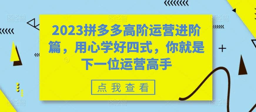 2023拼多多高阶运营进阶篇，用心学好四式，你就是下一位运营高手-久创网