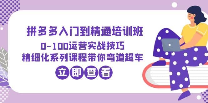 2023拼多多入门到精通培训班：0-100运营实战技巧 精细化系列课带你弯道超车-久创网