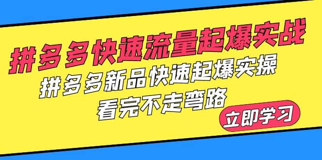 拼多多-快速流量起爆实战，拼多多新品快速起爆实操，看完不走弯路-久创网