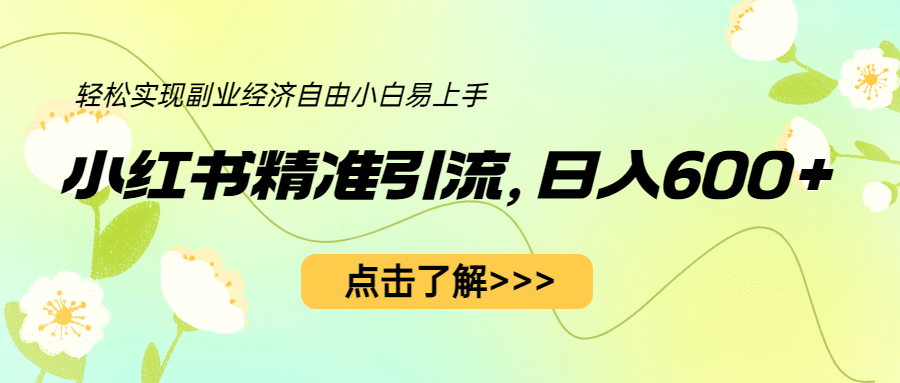 小红书精准引流，小白日入600 ，轻松实现副业经济自由（教程 1153G资源）-久创网