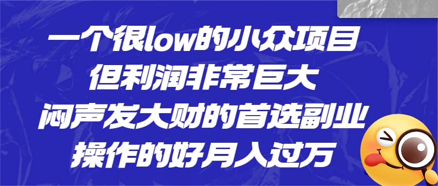 一个很low的小众项目，但利润非常巨大，闷声发大财的首选副业，月入过万-久创网