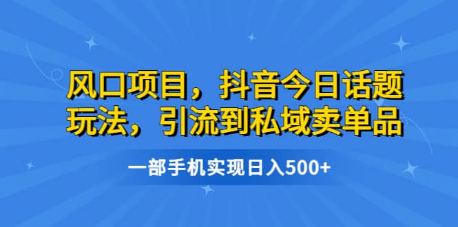 风口项目，抖音今日话题玩法，引流到私域卖单品，一部手机实现日入500-久创网