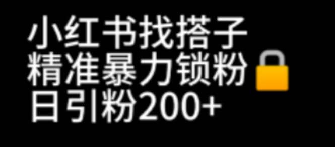 小红书找搭子暴力精准锁粉 引流日引200 精准粉-久创网