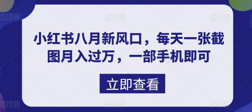 八月新风口，小红书虚拟项目一天收入1000 ，实战揭秘-久创网