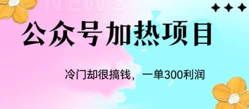 冷门公众号加热项目，一单利润300-久创网