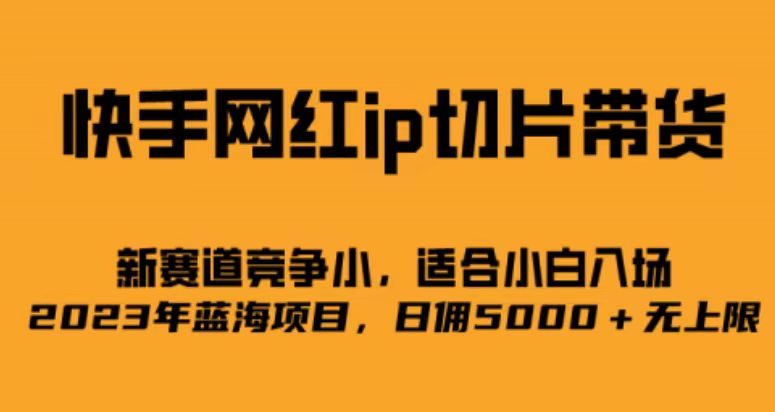 快手网红ip切片新赛道，竞争小事，适合小白 2023蓝海项目-久创网