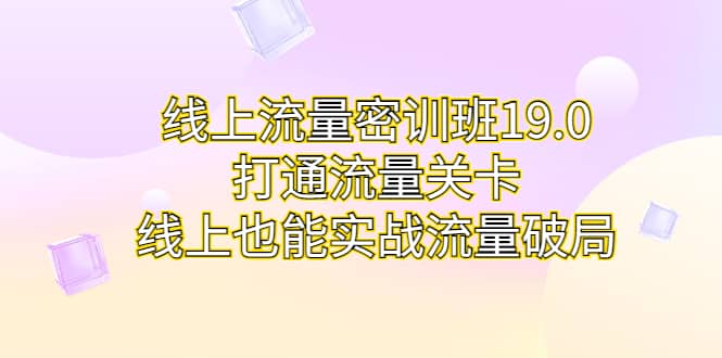 线上流量密训班19.0，打通流量关卡，线上也能实战流量破局-久创网