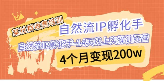 某社群收费培训：自然流IP 孵化手-14天线上实操训练营 4个月变现200w-久创网