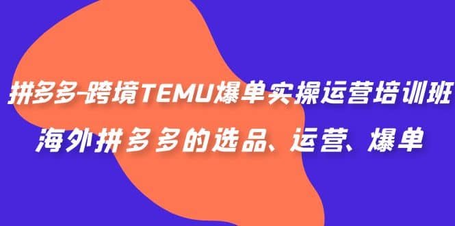 拼多多-跨境TEMU爆单实操运营培训班，海外拼多多的选品、运营、爆单-久创网