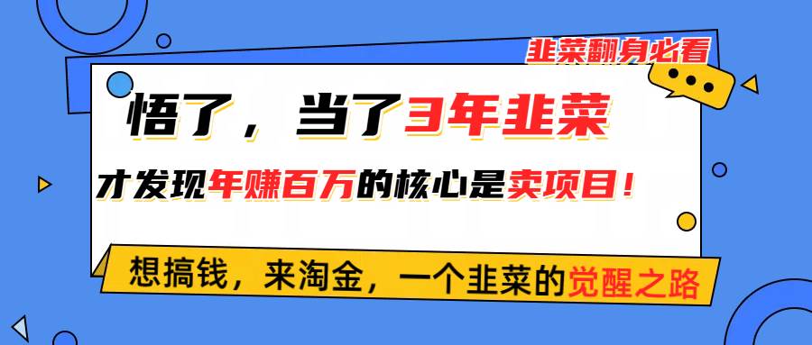 悟了，当了3年韭菜，才发现网赚圈年赚100万的核心是卖项目，含泪分享！-久创网