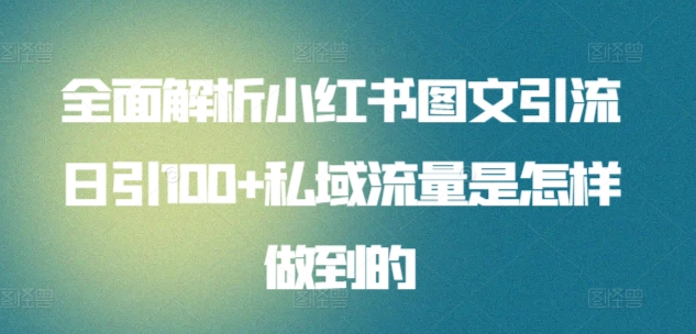 图片[1]-全面解析小红书图文引流日引100私域流量是怎样做到的-久创网