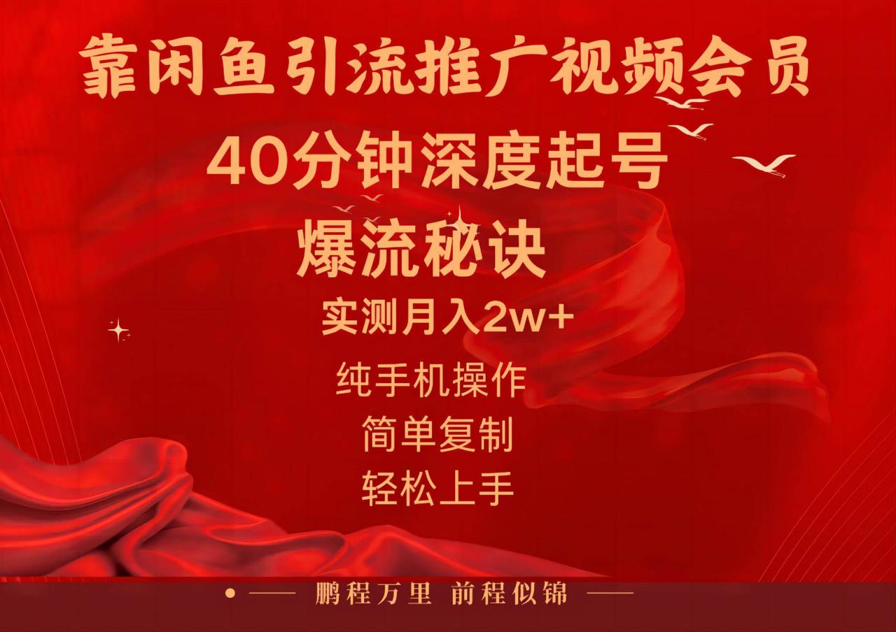 闲鱼暴力引流推广视频会员，能做到日入2W+，操作简单-久创网