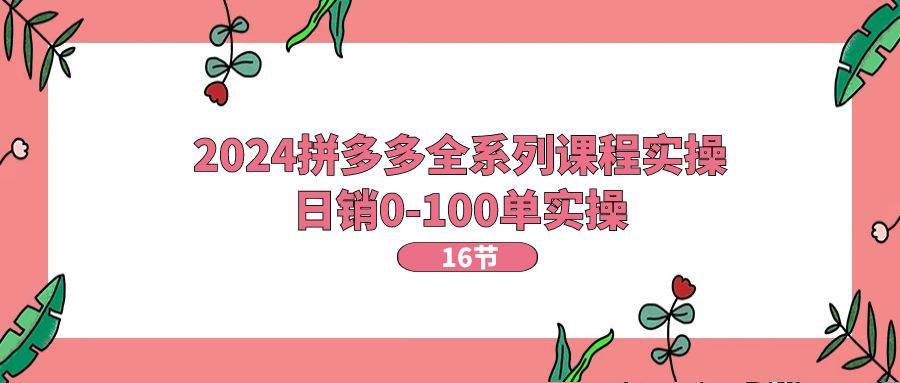 2024拼多多全系列课程实操，日销0-100单实操【16节课】-久创网