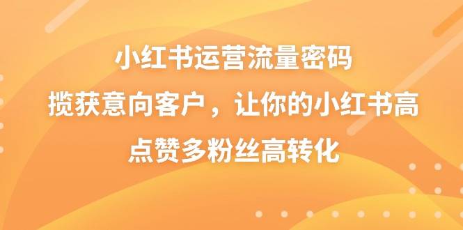 小红书运营流量密码，揽获意向客户，让你的小红书高点赞多粉丝高转化-久创网