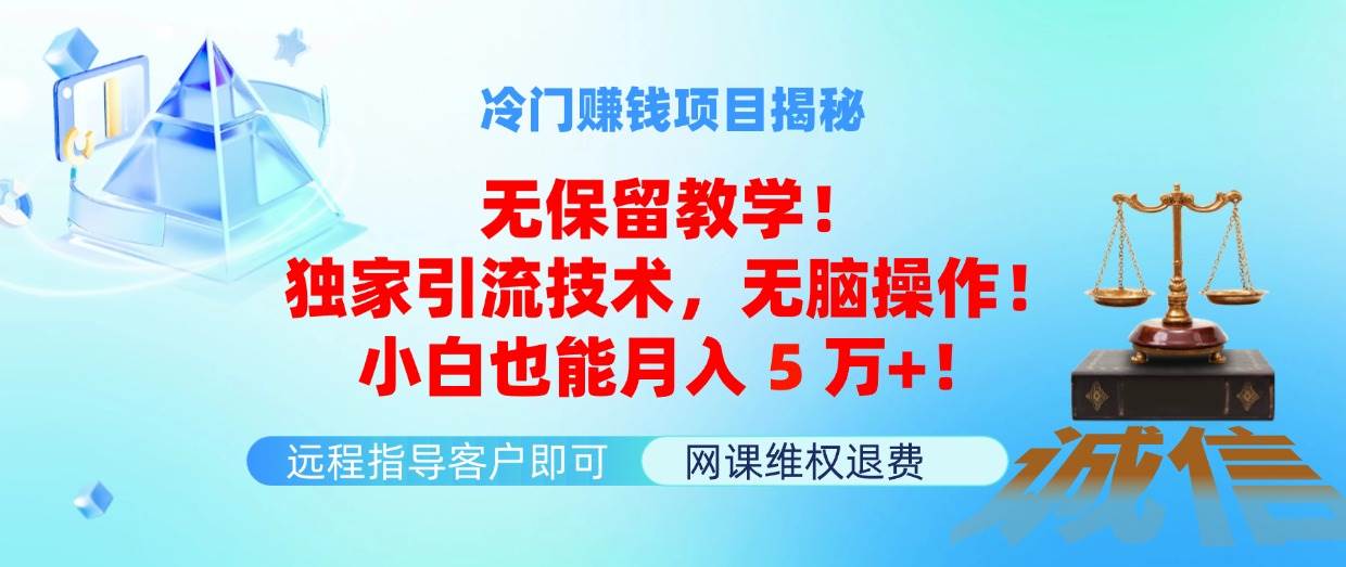 冷门赚钱项目无保留教学！独家引流技术，无脑操作！小白也能月入5万+！-久创网