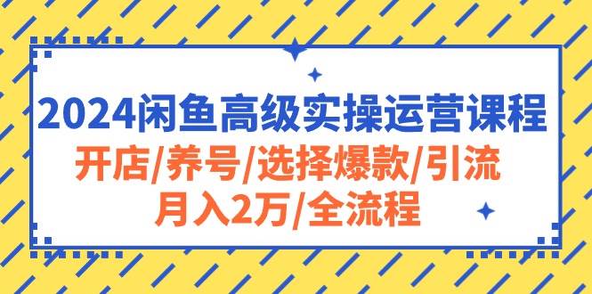 2024闲鱼高级实操运营课程：开店/养号/选择爆款/引流/月入2万/全流程-久创网