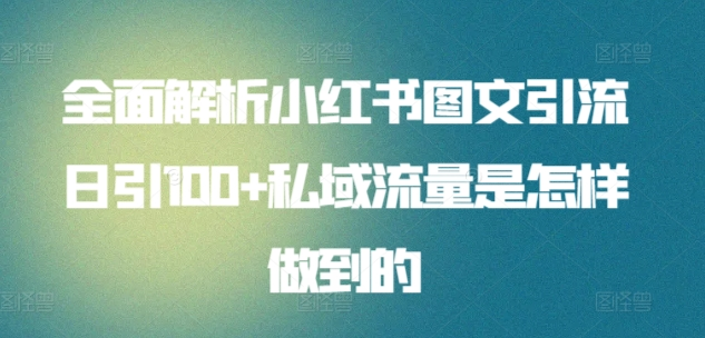 图片[1]-日引流100私域流量小红书图文是怎样做到的全面解析-久创网