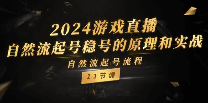 2024游戏直播-自然流起号稳号的原理和实战，自然流起号流程（11节）-久创网