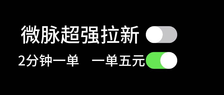 微脉超强拉新， 两分钟1单， 一单利润5块，适合小白-久创网