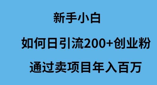 新手小白如何日引流200+创业粉通过卖项目年入百万-久创网