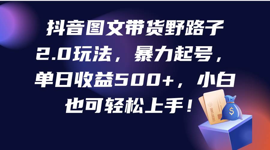 抖音图文带货野路子2.0玩法，暴力起号，单日收益500+，小白也可轻松上手！-久创网