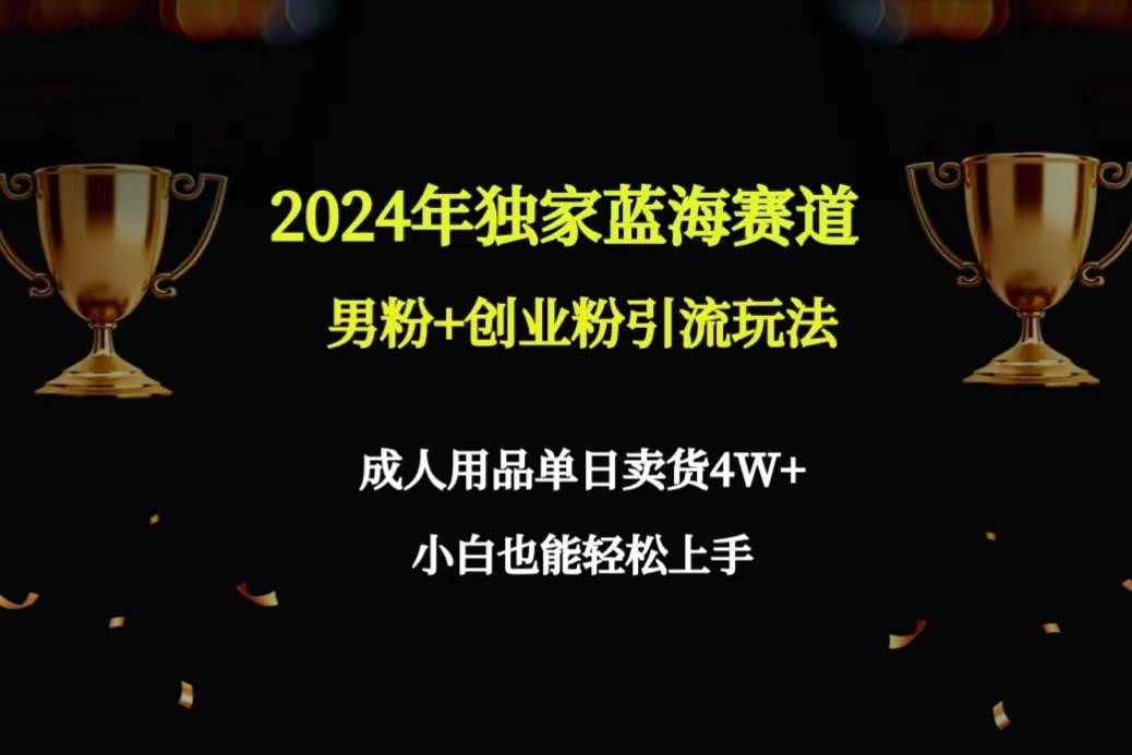 2024年独家蓝海赛道男粉+创业粉引流玩法，成人用品单日卖货4W+保姆教程-久创网