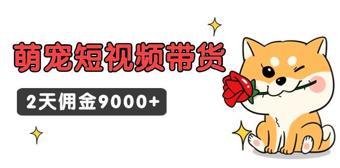 东哲日记·萌宠短视频带货，2天佣金9000+-久创网