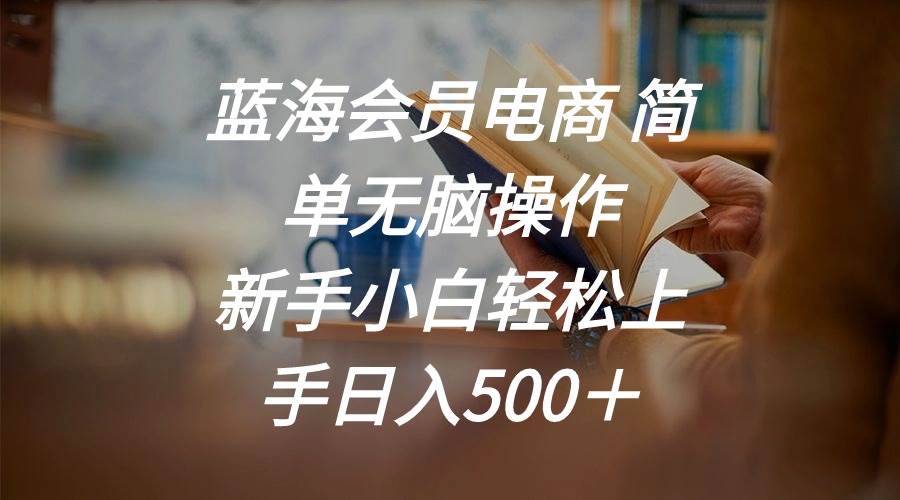 蓝海会员电商 简单无脑操作 新手小白轻松上手日入500＋-久创网