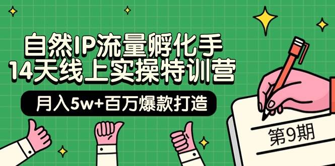 自然IP流量孵化手 14天线上实操特训营【第9期】月入5w+百万爆款打造 (74节)-久创网