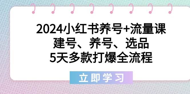 2024小红书养号+流量课：建号、养号、选品，5天多款打爆全流程-久创网