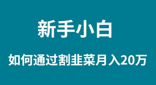 新手小白如何通过割韭菜月入 20W-久创网