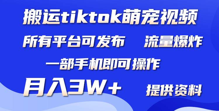 搬运Tiktok萌宠类视频，一部手机即可。所有短视频平台均可操作，月入3W+-久创网