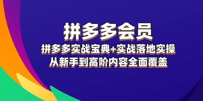 拼多多 会员，拼多多实战宝典+实战落地实操，从新手到高阶内容全面覆盖-久创网