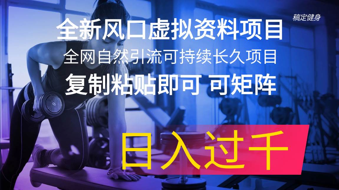 全新风口虚拟资料项目 全网自然引流可持续长久项目 复制粘贴即可可矩阵…-久创网