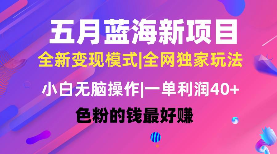 五月蓝海项目全新玩法，小白无脑操作，一天几分钟，矩阵操作，月入4万+-久创网