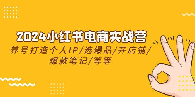 2024小红书电商实战营，养号打造IP/选爆品/开店铺/爆款笔记/等等（24节）-久创网