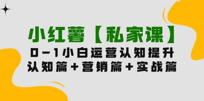 小红薯【私家课】0-1玩赚小红书内容营销，认知篇+营销篇+实战篇（11节课）-久创网