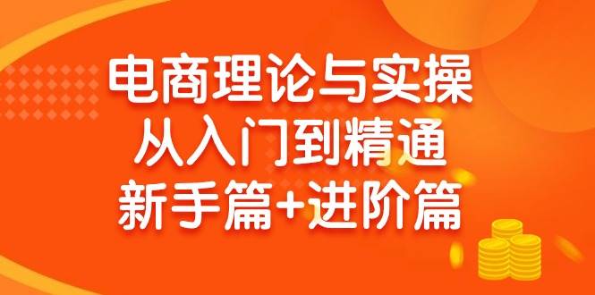 电商理论与实操从入门到精通 新手篇+进阶篇-久创网