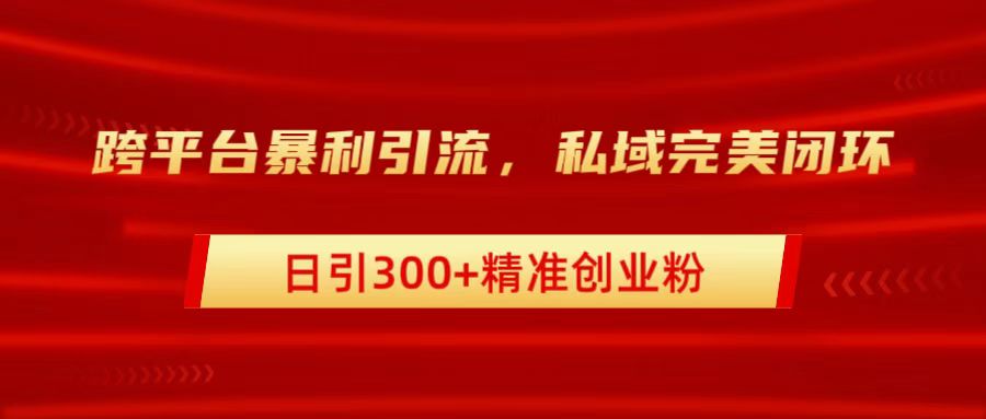 跨平台暴力引流，私域完美闭环，日引300+精准创业粉-久创网