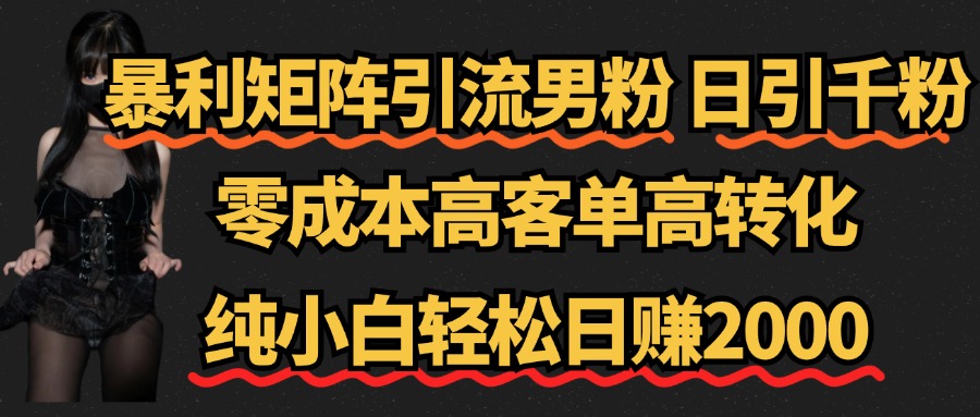 暴利矩阵引流男粉（日引千粉），零成本高客单高转化，纯小白轻松日赚2000+-久创网