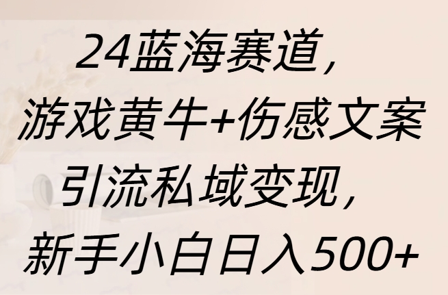 24蓝海赛道，游戏黄牛+伤感文案引流私域变现，新手日入500+-久创网