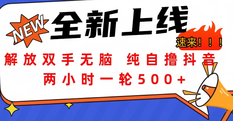 解放双手无脑 纯自撸抖音 两小时一轮500+-久创网