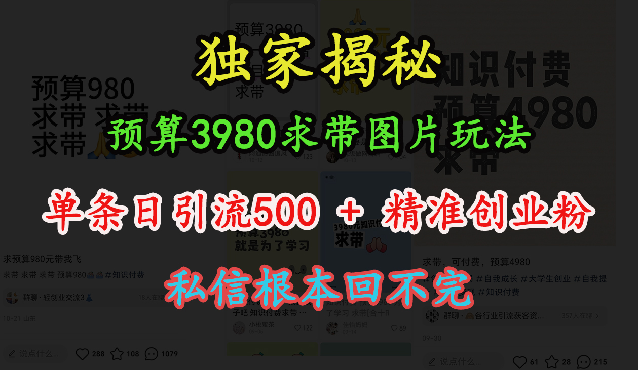 “小红书”预算3980求带 图片玩法，单条日引流500+精准创业粉，私信根本回不完-久创网