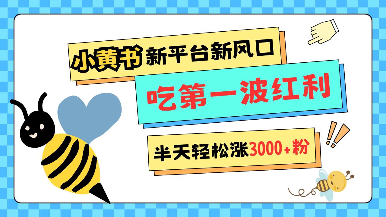 网易版小红书重磅来袭，新平台新风口，管理宽松，半天轻松涨3000粉，第一波红利等你来吃-久创网