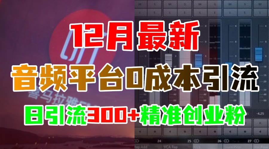 12月最新：音频平台0成本引流，日引300+精准创业粉-久创网