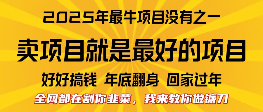 图片[1]-全网都在割你韭菜，我来教你做镰刀。卖项目就是最好的项目，2025年最牛互联网项目-久创网