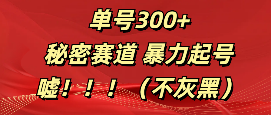 单号300+  秘密赛道 暴力起号  （不灰黑）-久创网